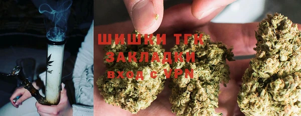 ешки Богданович