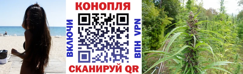 Шишки марихуана конопля  Горячий Ключ 